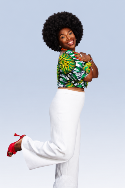 dynpy-model-community-african-model